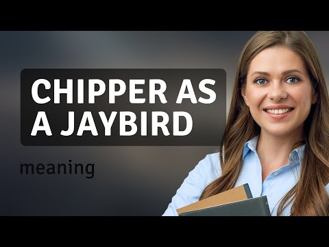 Understanding "Chipper as a Jaybird": A Dive into English Idioms