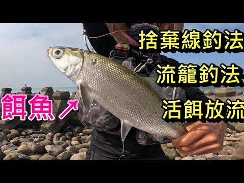 我以前愛玩的幾種登大物釣法 流籠釣法 捨棄線釣法 活餌放流 這次來教大家線組怎麼綁 怎麼登大物