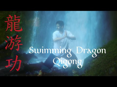 Swimming Dragon Qigong