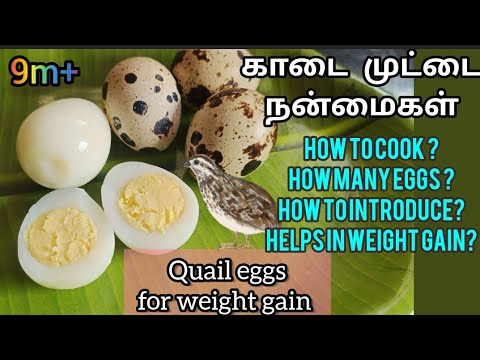 How to give Quail Eggs for baby/Kada muttai for  babies #kadaimuttai #quaileggs #egg @BabysWorld01