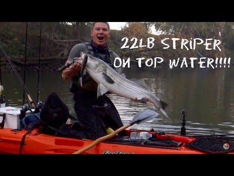 22LB Delta Striper on a KAYAK! Stoke Level 11