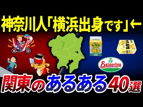 【ゆっくり解説】茨城県民『イバラ「キ」ね』→関東に住んでみたらわかる「あるある」40選を解説