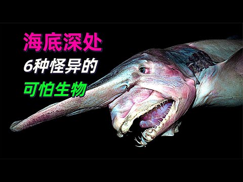 海底深处6种怪异的可怕生物，身体会发光是标配 #动物世界 #自然传奇 #大自然 #動物 #動物故事 #野生動物 #動物反殺 #万物有光