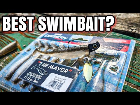 Best Swimbait of 2024? | Rapala Crush City Mayor Review