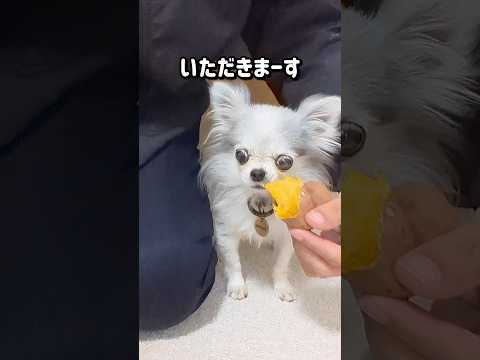 じゃがいもじゃないよ🍠