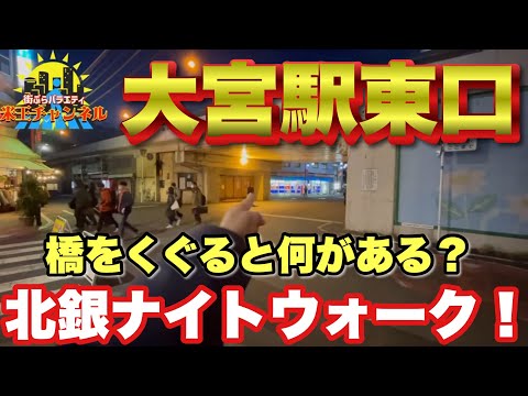 【ぶらり.埼玉】あまり行かない大宮北銀座をゆるくナイトウォーク！