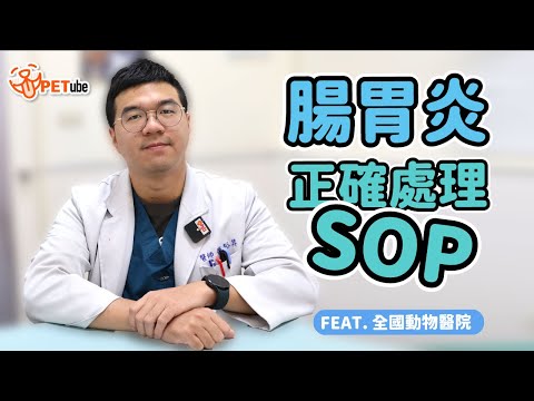 腸胃炎正確處理SOP Feat.全國動物醫院【哈寵小學堂】｜#哈寵PETube 第253集