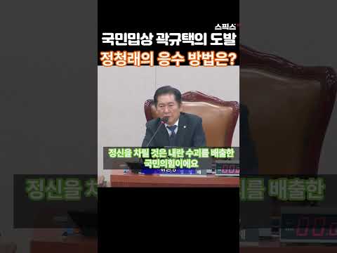 국민 밉상 곽규택 도발에 정청래 응수 방법은? #윤석열 #탄핵 #곽규택 #정청래 #법사위