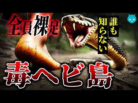 【秘境】世界一危険な毒蛇に人が襲われ続ける島｜死亡事故多発のヤバすぎる理由