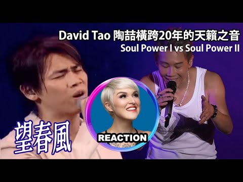 國外聲樂老師再評陶喆《望春風》 Vocal Coach's reaction to David Tao - Spring Wind #陶喆 #davidtao #soulpower