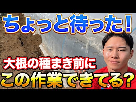 【最初が肝心！】綺麗な大根を作るためにやって欲しい作業について