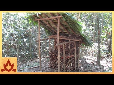 Primitive Technology: Wood shed and Native bee honey