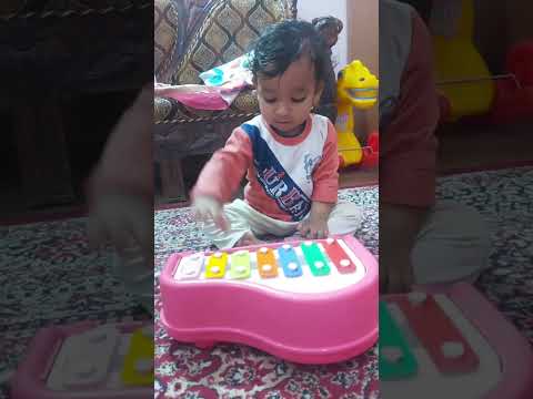 Chote Miya Musician