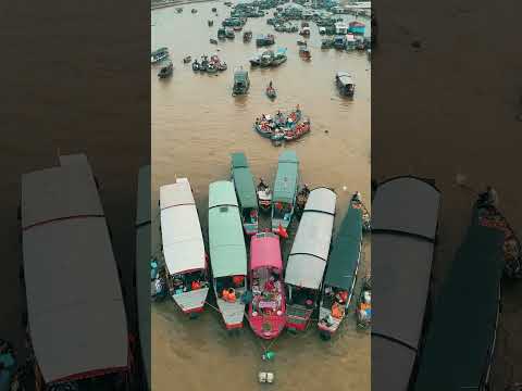 Can Tho - Famous tourist sites: A Morning of Wonders at Cai Rang Floating Market  #vietnamtravel