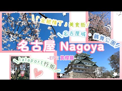 【名古屋vlog EP2】首次日本賞櫻出師不利｜金鯱橫丁・名古屋城外的美食街｜lalaport交通資訊｜Nat Go Japan