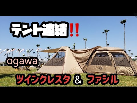 【テント連結!!】またまた登場!!  ogawa ツインクレスタ&ファシル!!