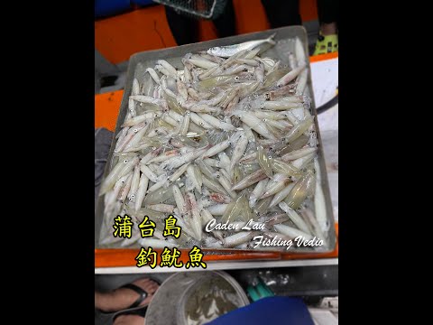 神秘艇家 蒲台島 chok 魷魚