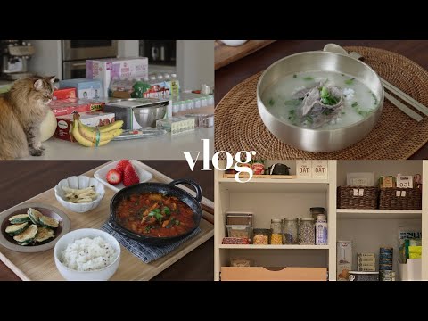 VLOG l Costco Shopping, Pantry Organization, Korean Marrow Bone Soup & Healthy Meal Recipes for IBS