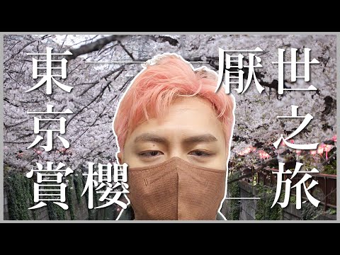 哭！跟老公吵架的東京厭世之旅，心灰意冷去墓仔埔賞櫻｜東京賞櫻 上集