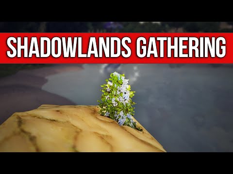 SHADOWLANDS GATHERING - Shell of What it Could Be