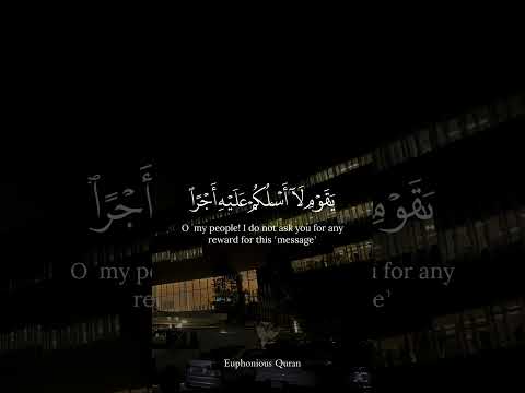 Calming Quran Recitation | SubhanAllah 🕊️