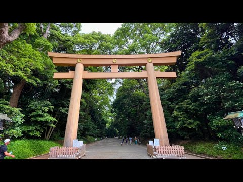 The Most Popular Shrine in Tokyo_Meiji Jingu Shrine, An Urban Oasis⛩