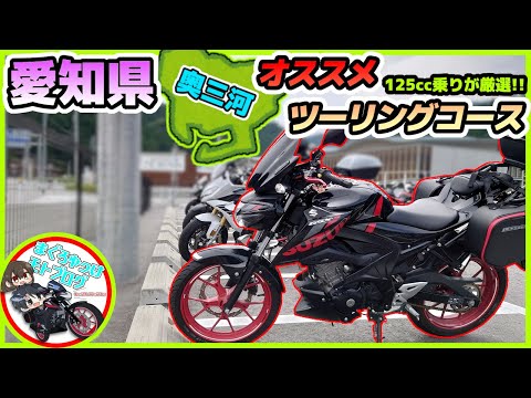 【GSX-S125】愛知県でバイク初心者にもオススメなツーリングコースを実際に走りながらご紹介！！県外ライダーやベテランにも当然オススメ！！【ゆっくり実況】