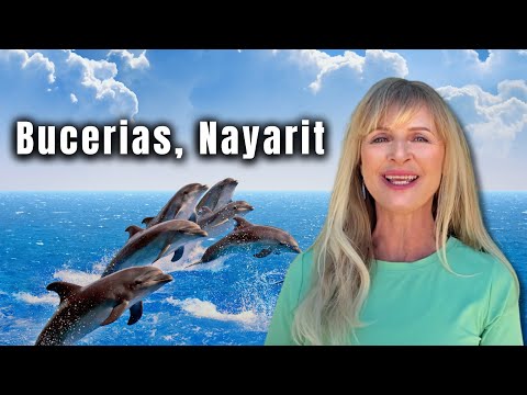 We saw Dolphins in Bucerias | Things to do in Puerto Vallarta, Mexico