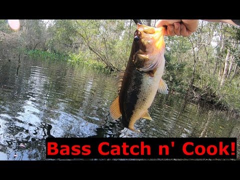 Bass fishing NON STOP ACTION! Catch n' Cook fish tacos