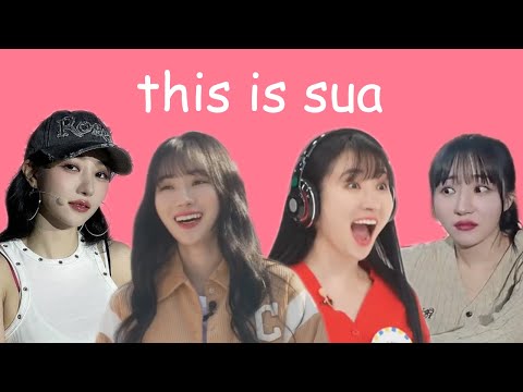 this is: sua 🐥 (2024)