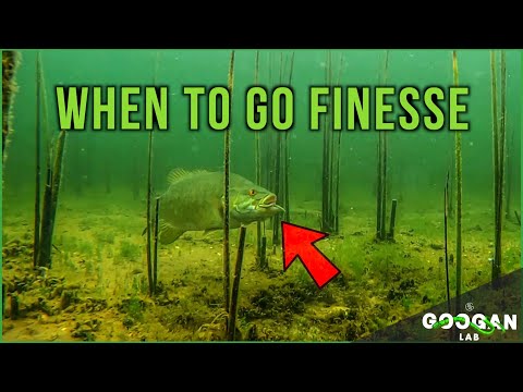 WHEN TO DOWNSIZE LURES and GO FINESSE! ( BASS FISHING TIPS )