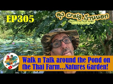 EP305 Walk n Talk around the Pond on the Thai Farm...Natures Garden!