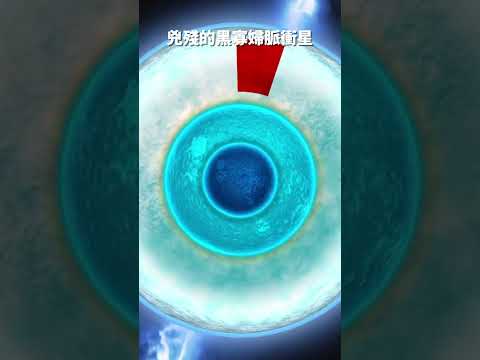 兇殘的黑寡婦脈衝星#天文 #shorts #脉冲星 #中子星 #恒星 #宇宙