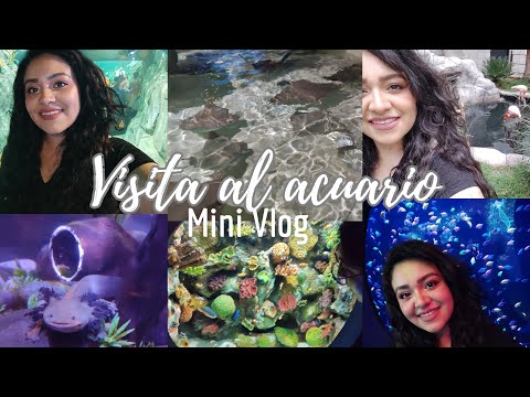 Visita al acuario 🐟🐠 (mini vlog)