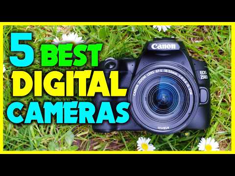 ✅Top 5: Best Digital Cameras in 2024 - The Best Digital Cameras [Reviews]