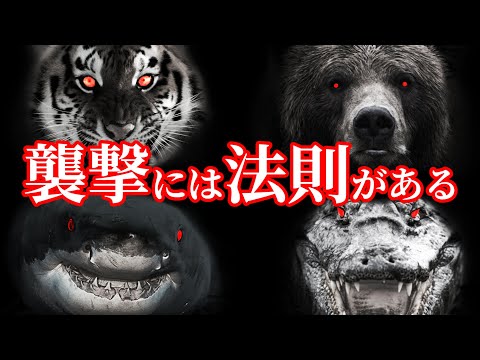 【保存版】ヒグマもトラも同じ…全捕食者に共通する3つの攻撃ステップと有効な対処法