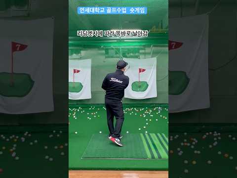 연세대학교 골프수업 똑바로 공이 날아가는 비결 퇴근길 골프레슨 오후 6시 golflesson