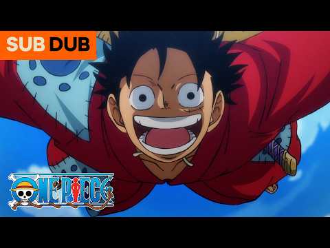 Luffy and Zoro Reunite After 2 Years | One Piece