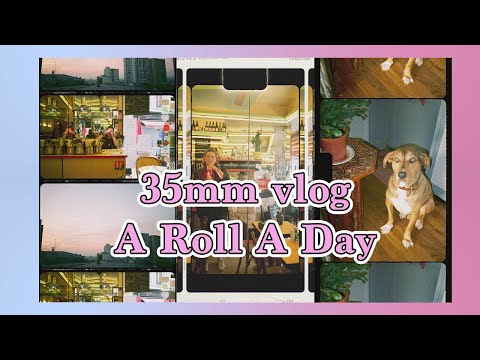 Roll A Day #1 with a Konica Big Mini