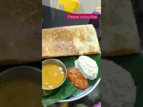 #Shorts #Plain Dosa with sambar, kobbari chutney and allam chutney