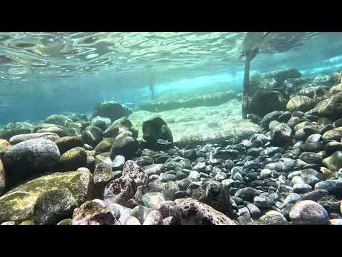 伊豆の海！富戸の海でダイビング！キラキラの海に潜ってきましたよぉ！