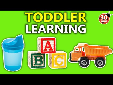 Educational Videos for Toddlers with The Toddler Teacher - Abcs, Colors, Letters, Numbers in English