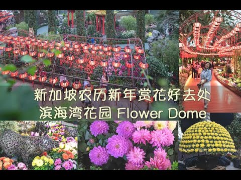 Gardens by the Bay Flower Dome CNY 滨海湾花园花穹 · 农历新年赏花好去处