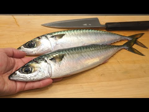 サバのさばき方と「炙りしめ鯖」の作り方（香ばしさと脂の旨味を強く味わえる）　　Mackerel sashimi