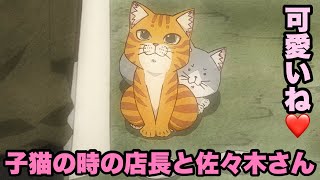 子猫は可愛いですよね【ラーメン赤猫】