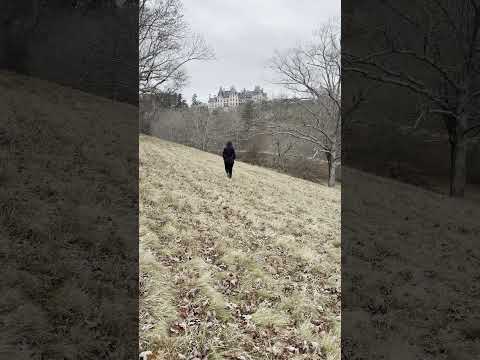 A Peaceful Stroll Through the Biltmore Estate