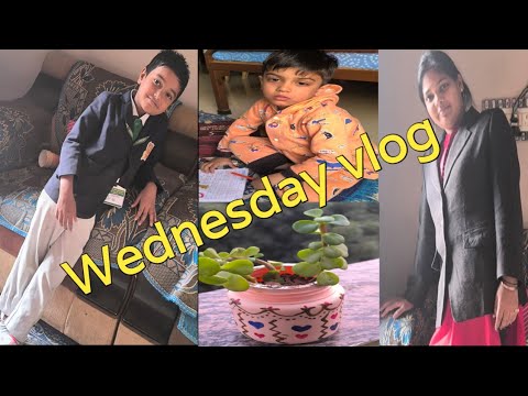 My  Wednesday vlog 😍 ❤️ morning to night routine // vlog 😍