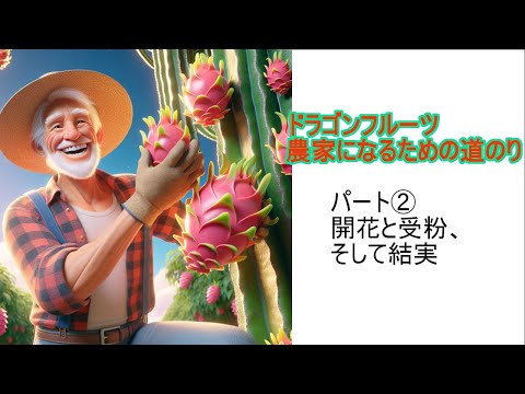 ドラゴンフルーツ栽培すべてお見せします。No.2「開花と受粉と結実」