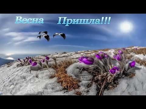 Весна Пришла! Пока, Зима! Лучшее Поздравление с Приходом Весны! Красивая песня открытка!