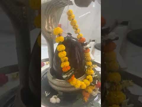 काल भी उसका क्या करे जो भक्त हो महाकाल का #mahadev #shiva #harharmahadev #lordshiva #mahashivratri